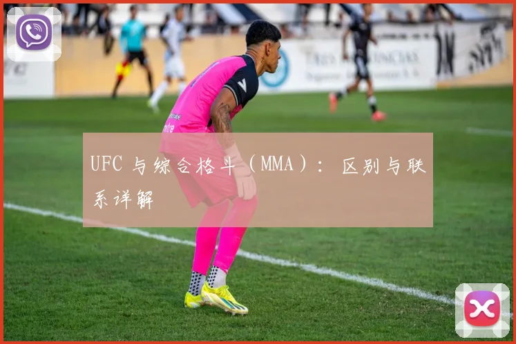 UFC 与综合格斗（MMA）：区别与联系详解