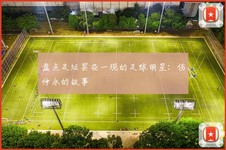 盘点足坛昙花一现的足球明星:伤仲永的故事