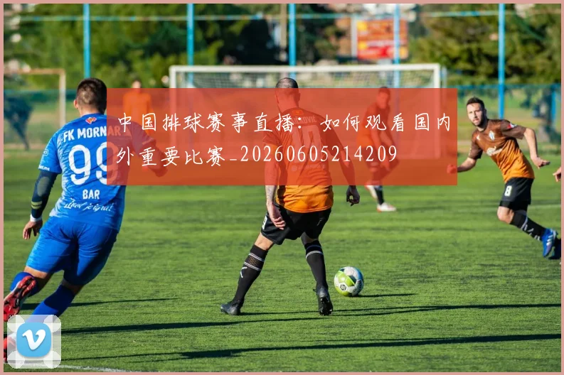 中国排球赛事直播：如何观看国内外重要比赛_20260605214209