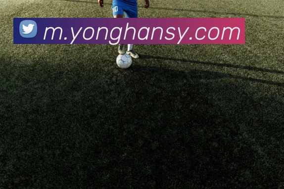 多彩内容专区